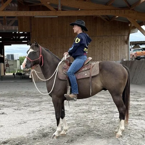Cours d'équitation western