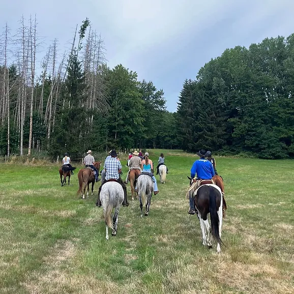 Randonnée à la journée
